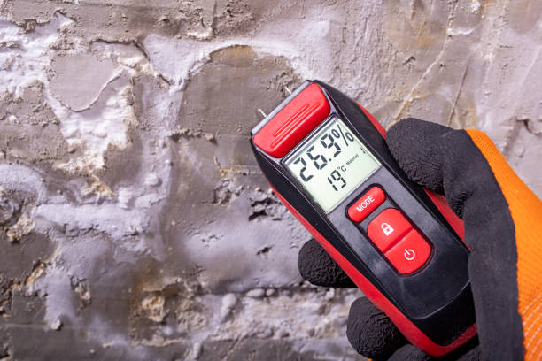Best Mold Testing and Removal  in Campbell, FL