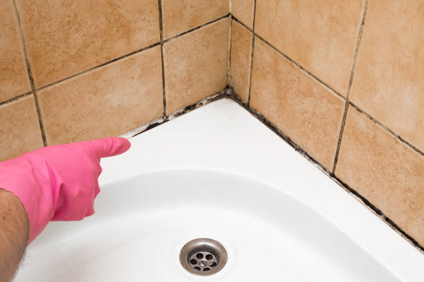 Best Professional Mold Removal  in Campbell, FL